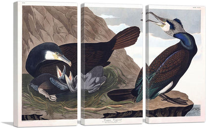 3-panel