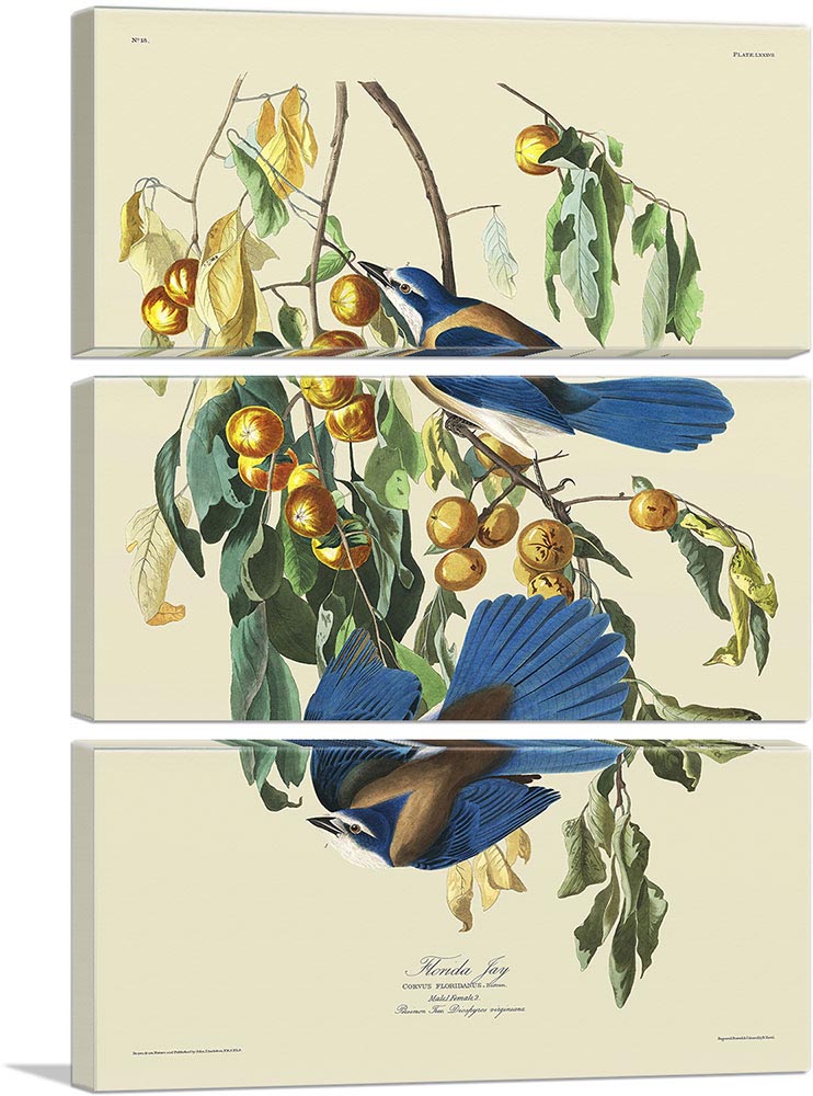 3-panel