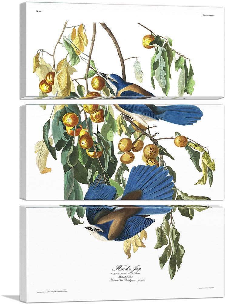 3-panel