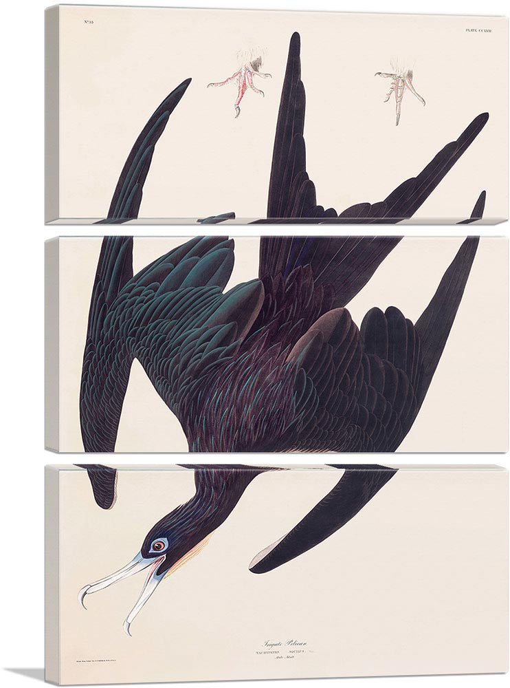 3-panel