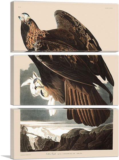 3-panel