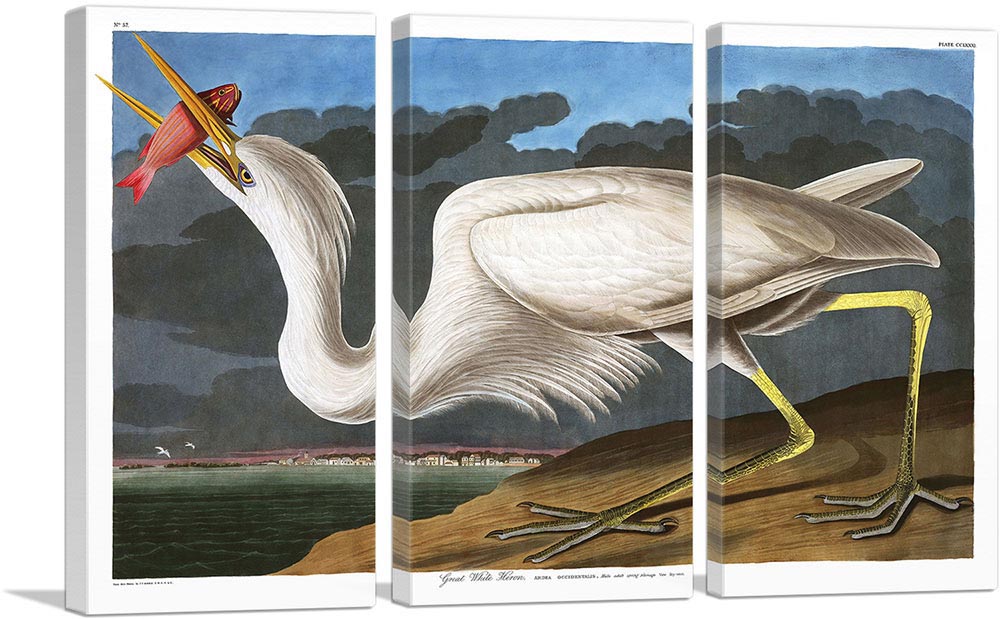3-panel