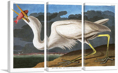 3-panel