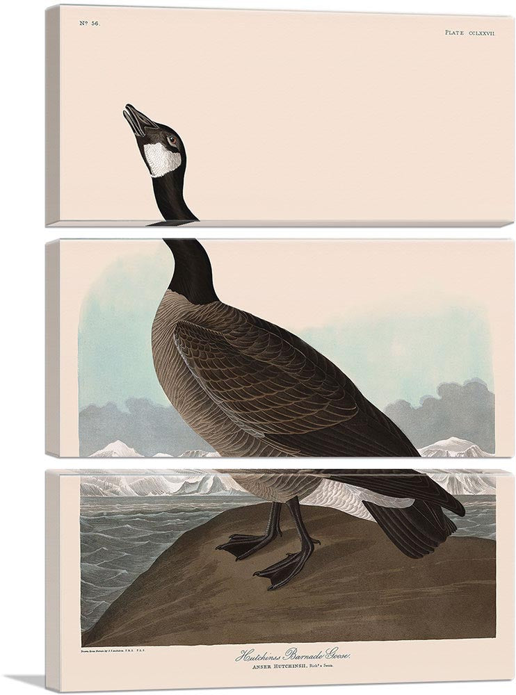 3-panel