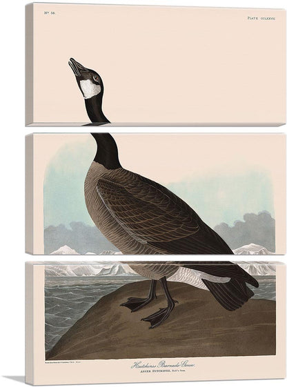 3-panel