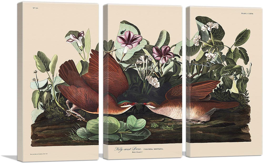 3-panel