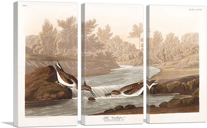 3-panel
