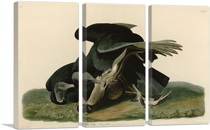 3-panel