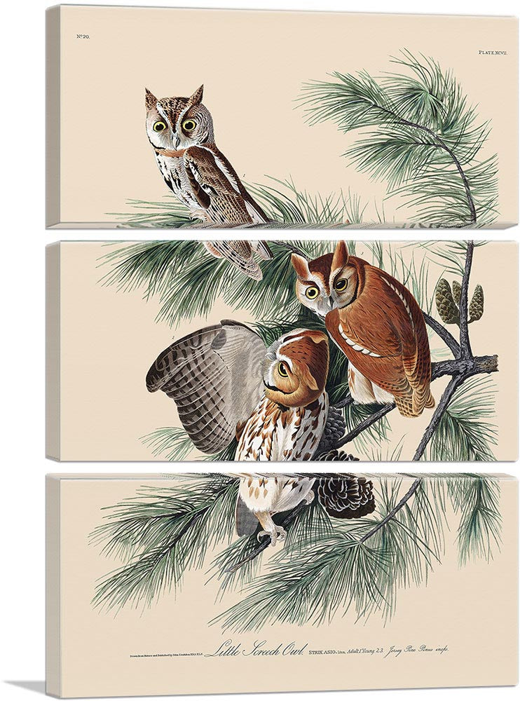 3-panel