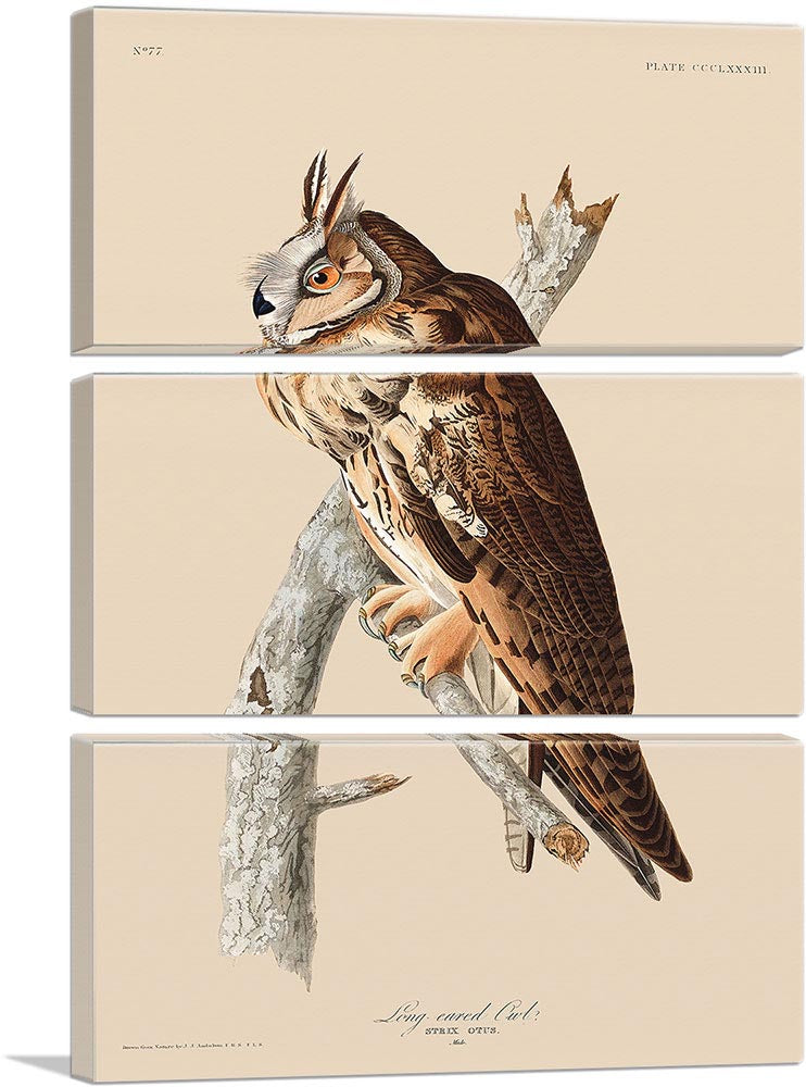 3-panel