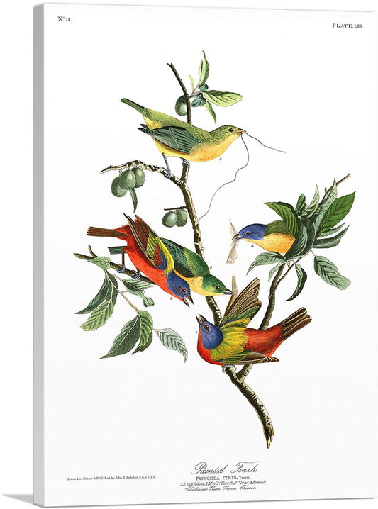 1-panel