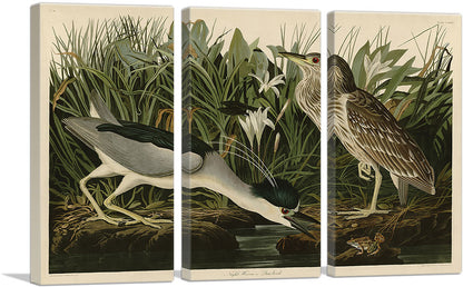 3-panel