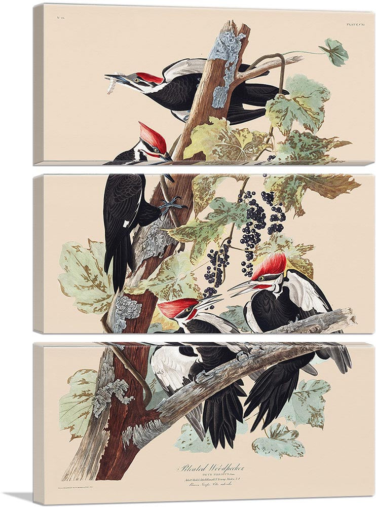 3-panel