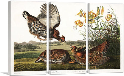 3-panel