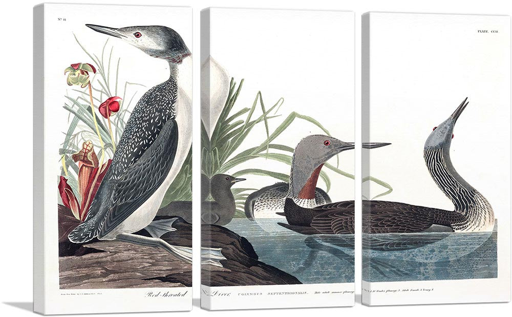 3-panel