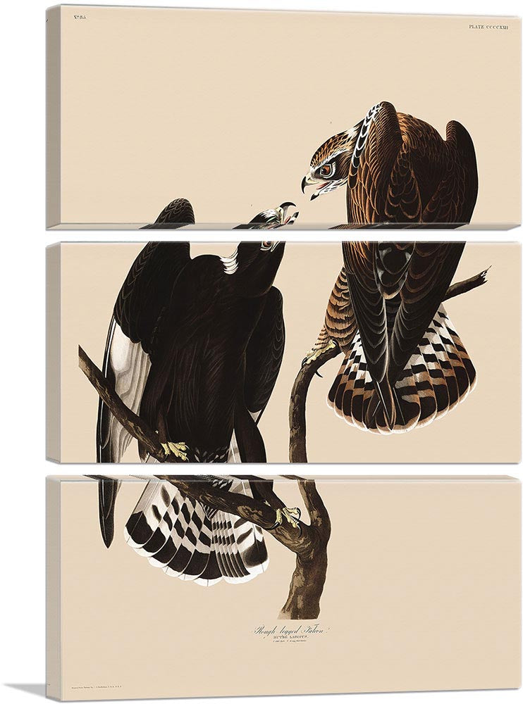3-panel