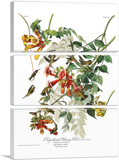 3-panel