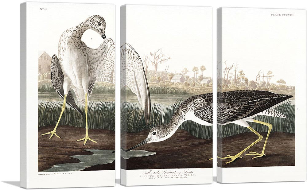 3-panel
