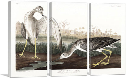 3-panel