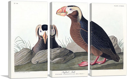 3-panel