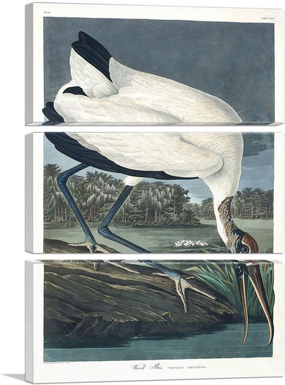 3-panel