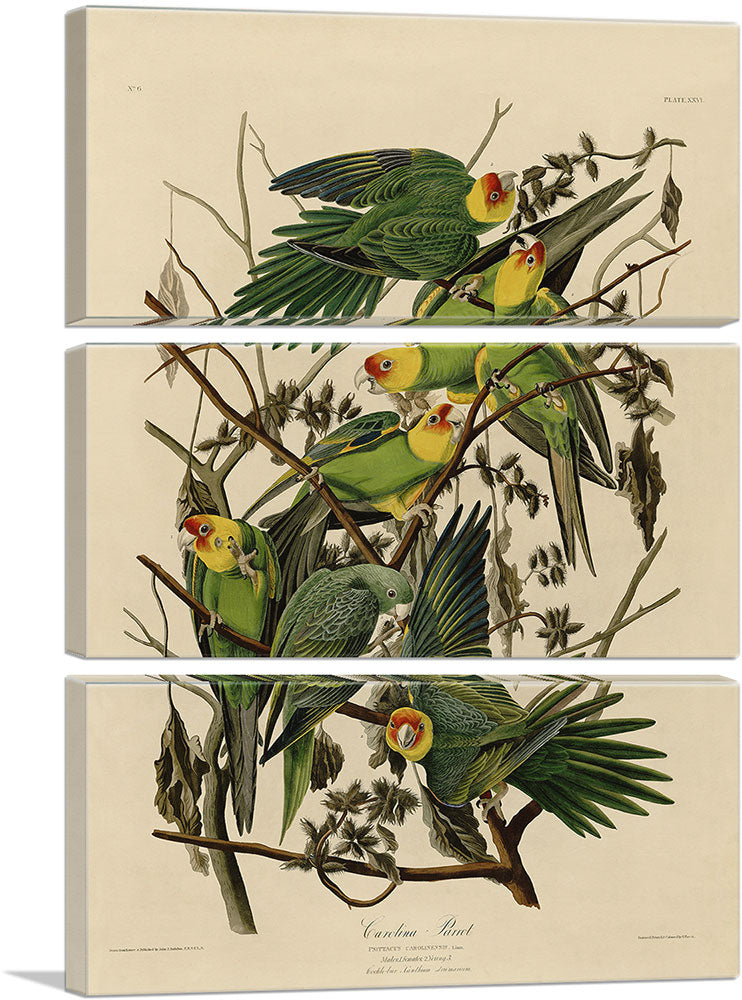 3-panel