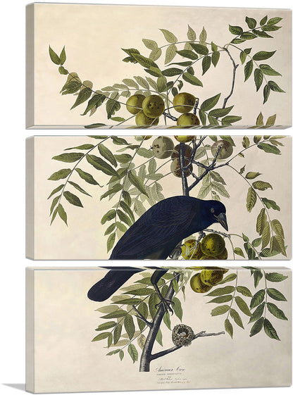 3-panel