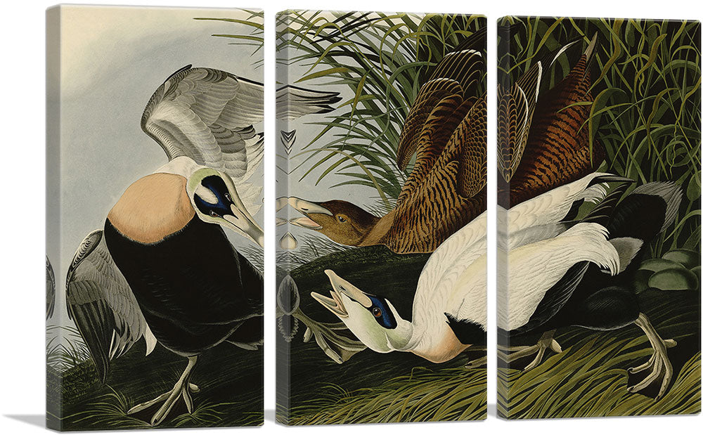 3-panel