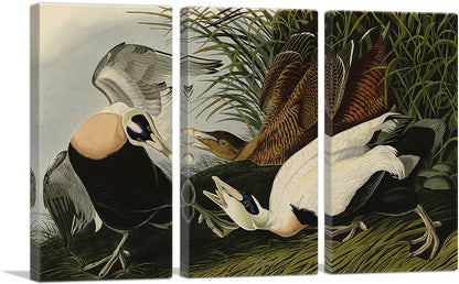 3-panel