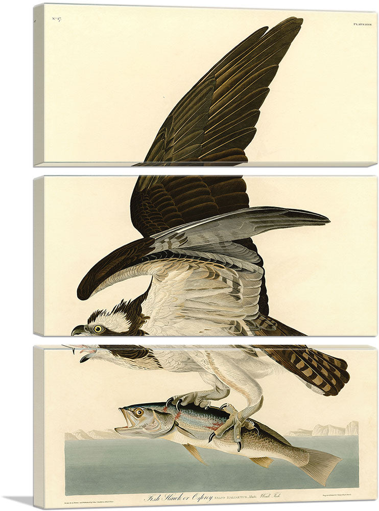 3-panel