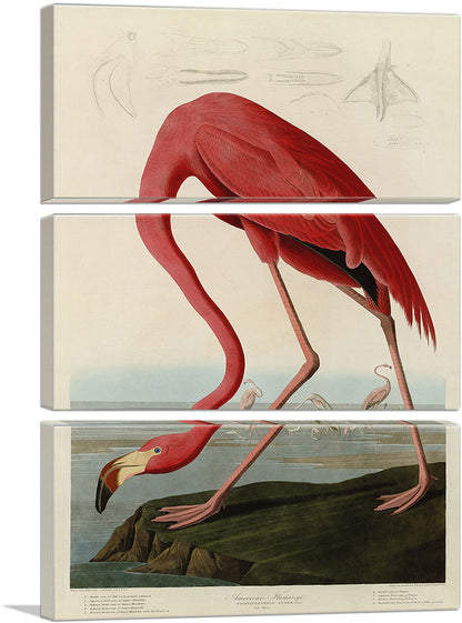 3-panel