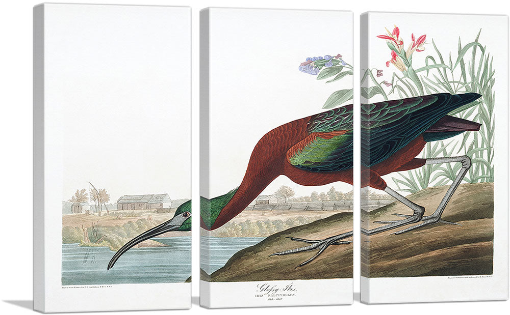 3-panel