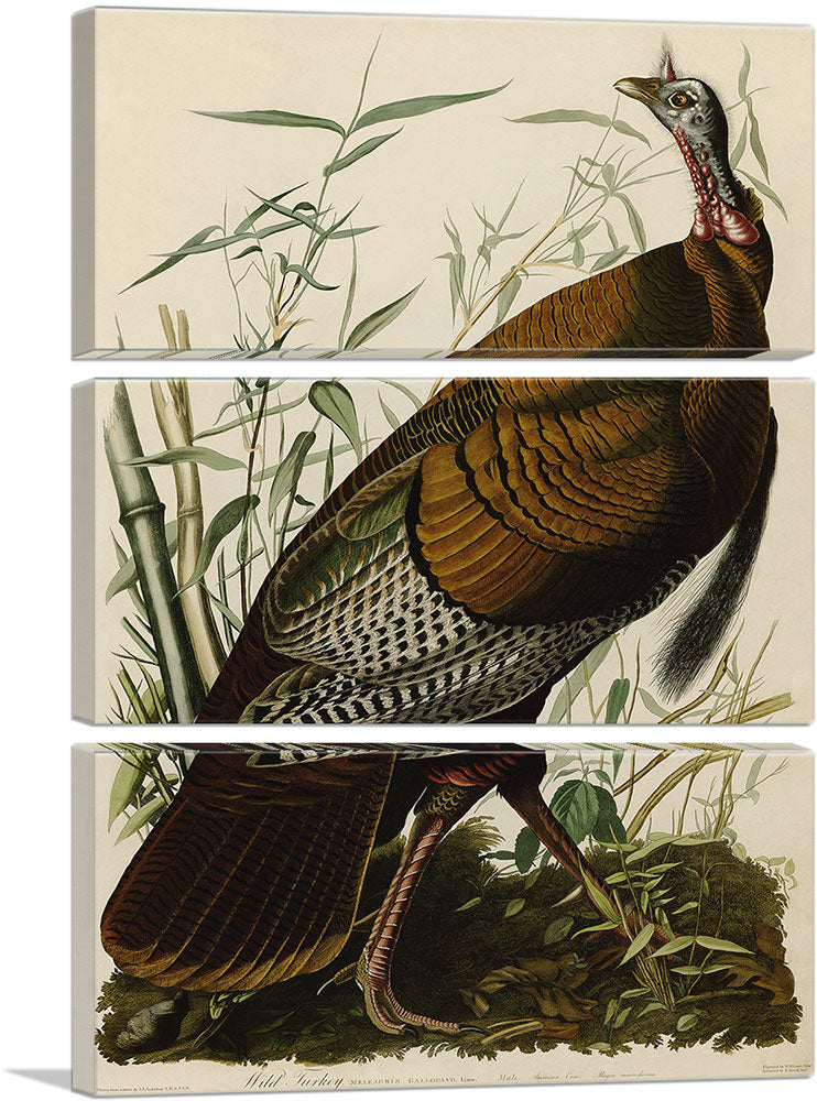 3-panel