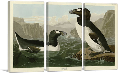 3-panel