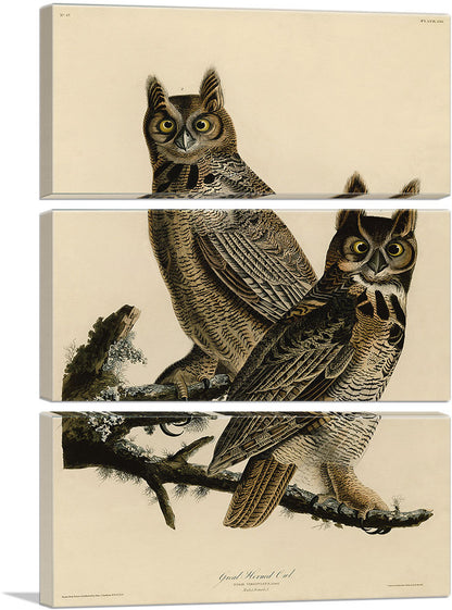 3-panel