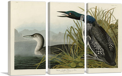 3-panel