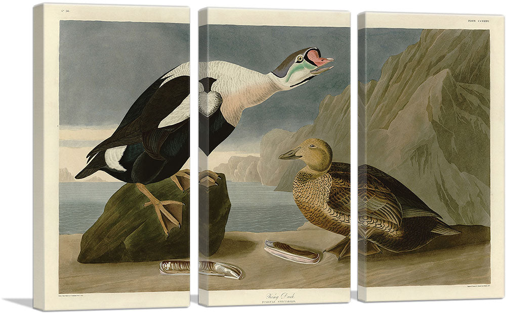 3-panel