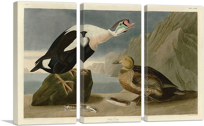 3-panel