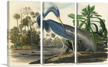 3-panel