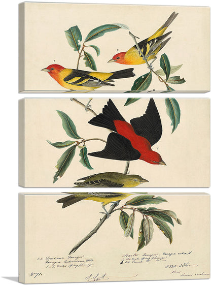 3-panel