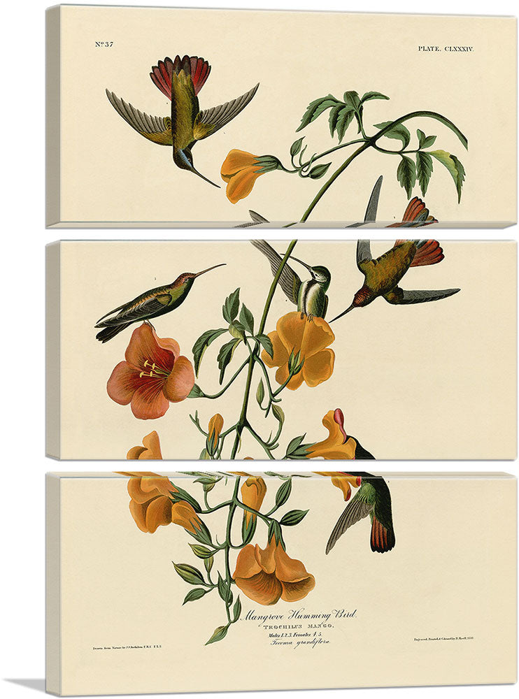 3-panel