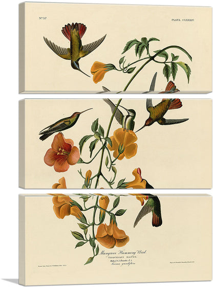 3-panel