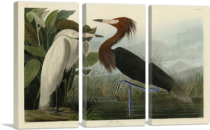 3-panel