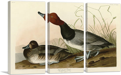 3-panel