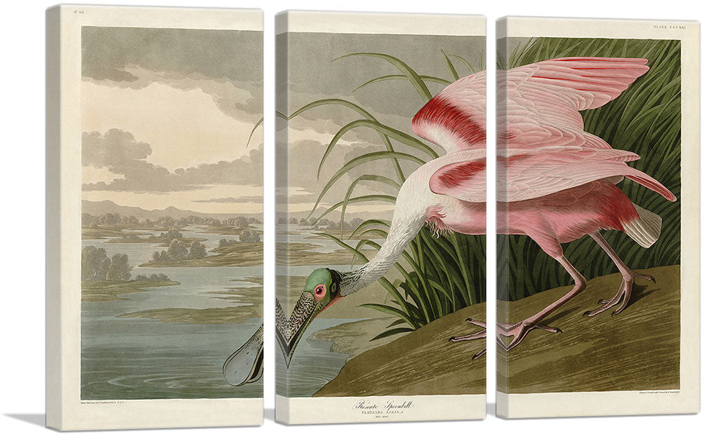3-panel