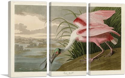 3-panel