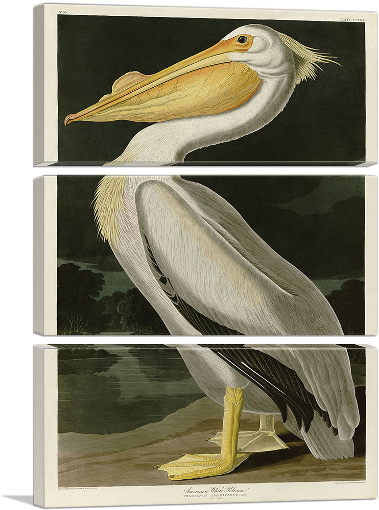 3-panel