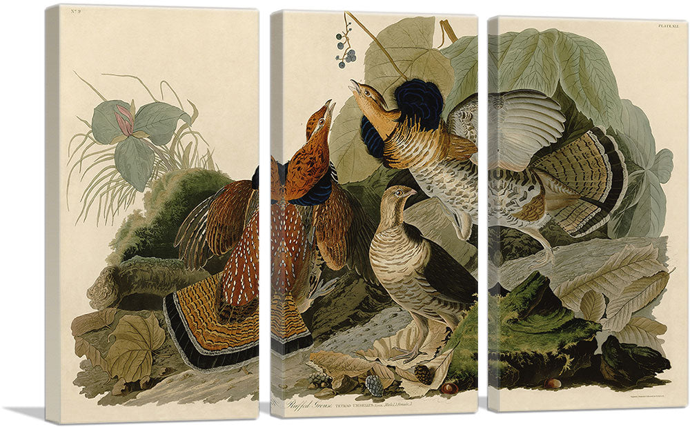 3-panel
