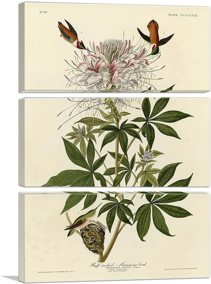 3-panel