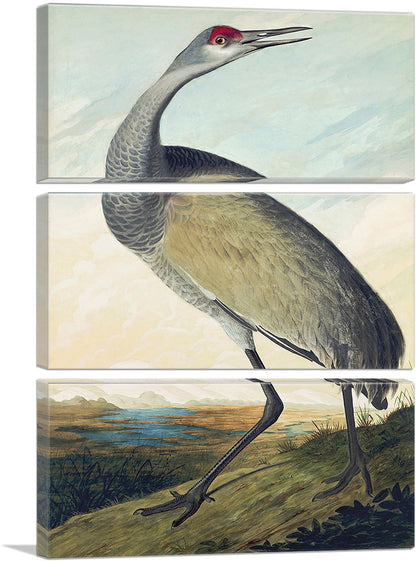 3-panel